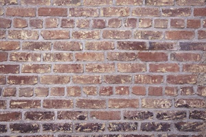 2583_5eb3afe0204fe