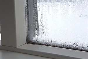 2525_5eb3afdd8e8ce