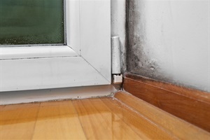 2527_5eb3afdda1dba