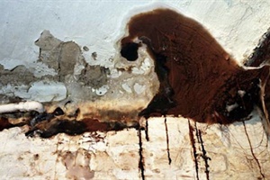 2507_5eb3afdcc9016