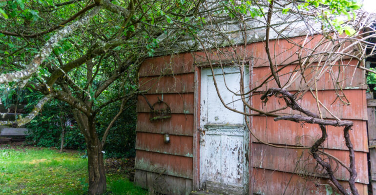 vocht in houten tuinhuis of houten bijgebouw