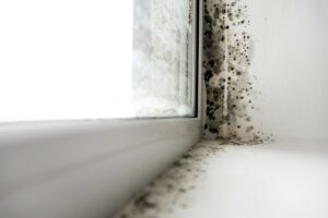 condens-schimmel-in-huis