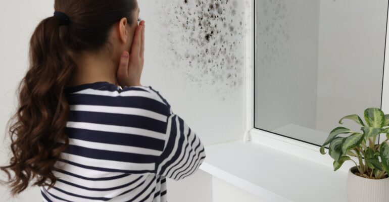 vocht in huis