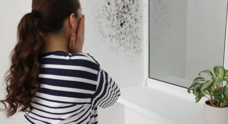vocht in huis